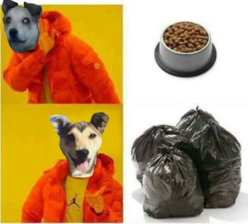 Meme Todos los perros